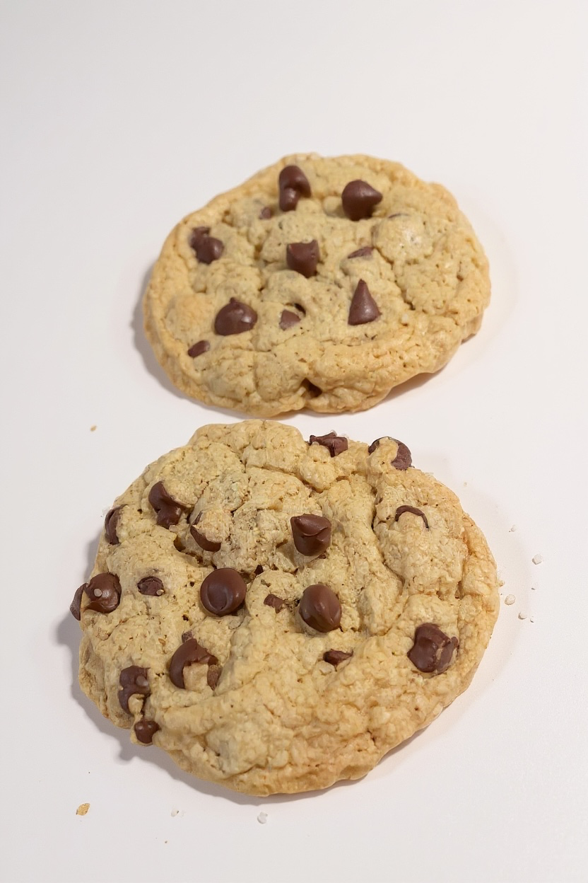 Chocolate Chip Cookie (6-Pack)
